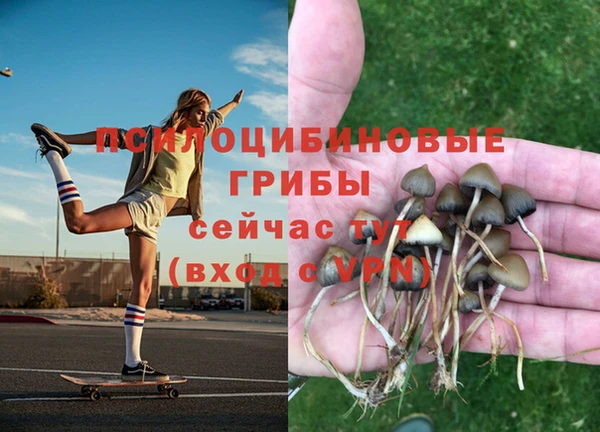 шишки Алексеевка