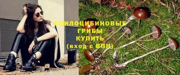 каннабис Алзамай